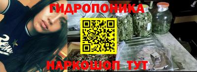 apvp Лесосибирск
