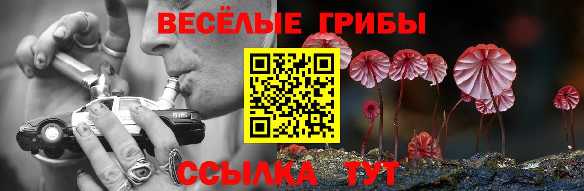Галлюциногенные грибы прущие грибы Аксай